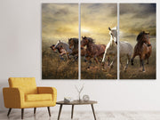 3 darab Vászonképek Wild Wild Horses