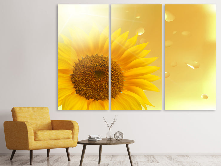 3 darab Vászonképek Sunflower in Morning dew