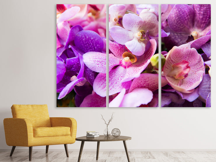 3 darab Vászonképek Orchid Paradise