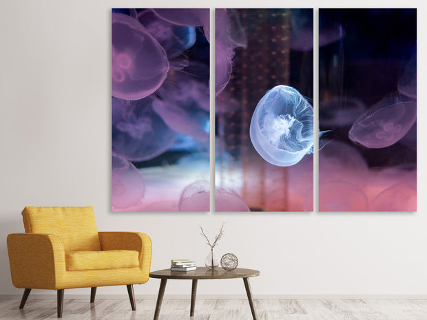 3 darab Vászonképek The Beauty Of Jellyfish