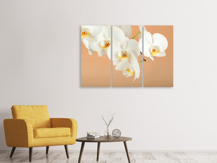 3 darab Vászonképek White Orchid Flowers