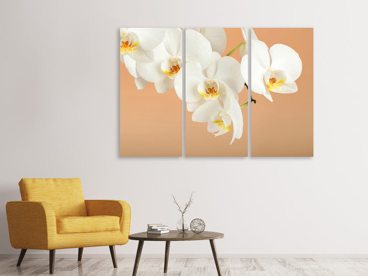 3 darab Vászonképek White Orchid Flowers