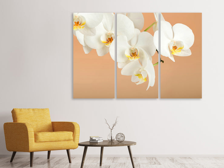 3 darab Vászonképek White Orchid Flowers
