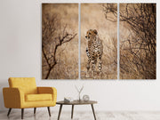 3 darab Vászonképek Elegant Cheetah