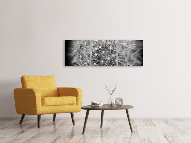 3 darab Vászonképek Panoramic Dandelion in XXL