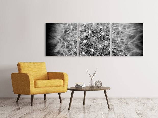 3 darab Vászonképek Panoramic Dandelion in XXL