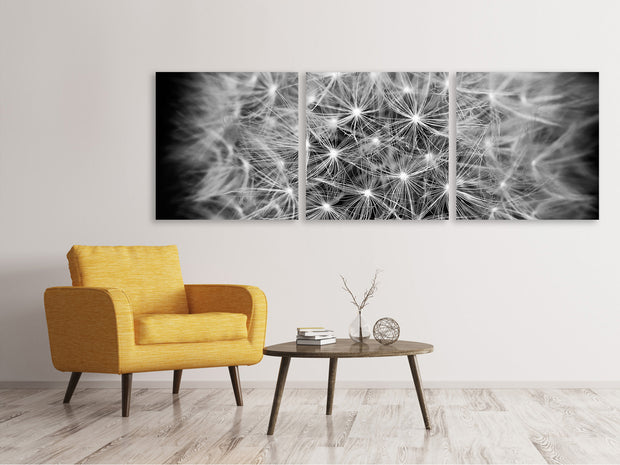 3 darab Vászonképek Panoramic Dandelion in XXL