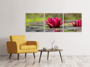 3 darab Vászonképek Panoramic Red water lily duo