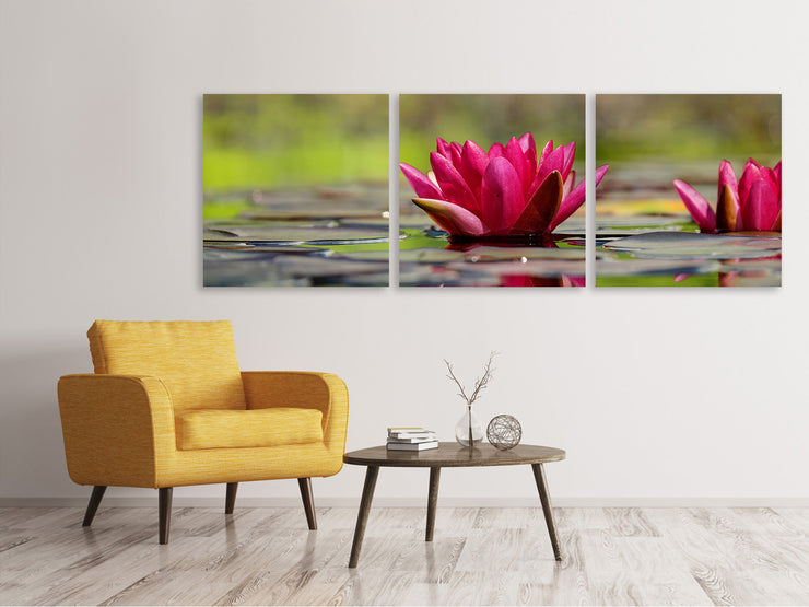 3 darab Vászonképek Panoramic Red water lily duo