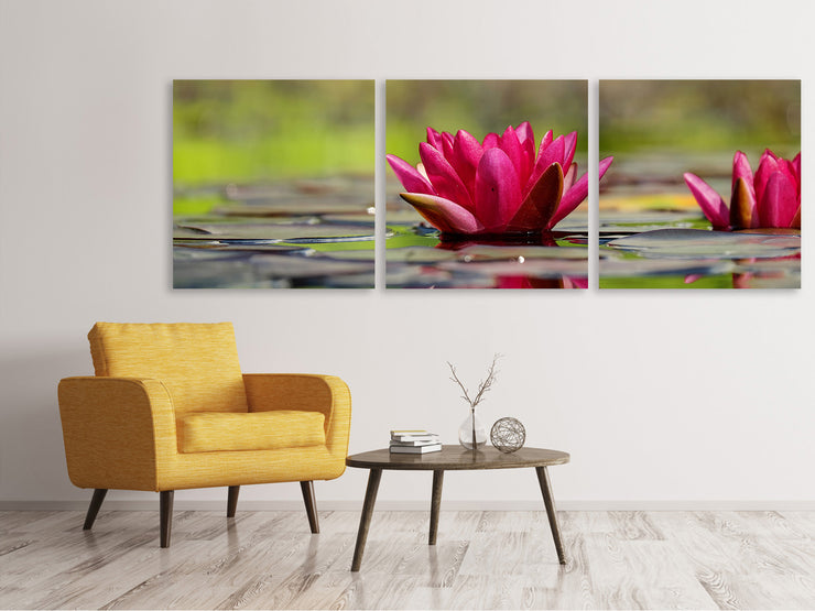 3 darab Vászonképek Panoramic Red water lily duo