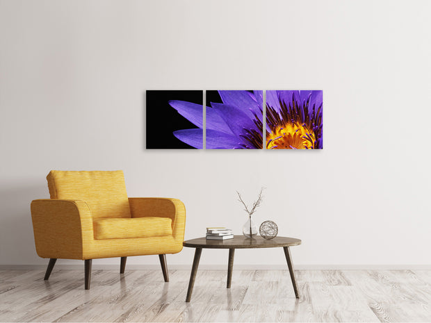 3 darab Vászonképek Panoramic XL water lily in purple