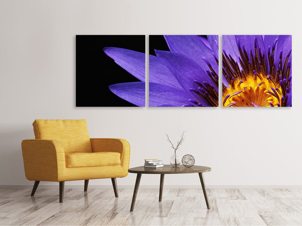 3 darab Vászonképek Panoramic XL water lily in purple