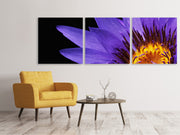 3 darab Vászonképek Panoramic XL water lily in purple