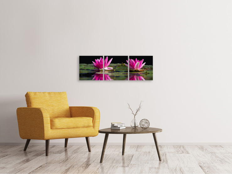 3 darab Vászonképek Panoramic Water Lilies Duo in pink