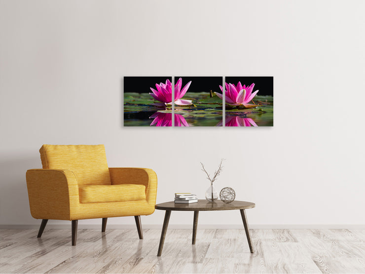 3 darab Vászonképek Panoramic Water Lilies Duo in pink