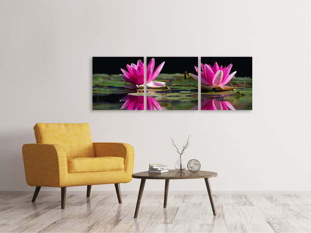 3 darab Vászonképek Panoramic Water Lilies Duo in pink