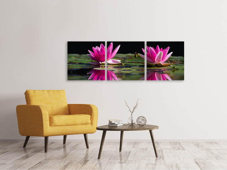 3 darab Vászonképek Panoramic Water Lilies Duo in pink