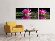 3 darab Vászonképek Panoramic Water Lilies Duo in pink