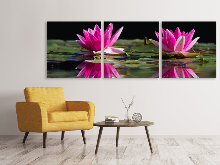 3 darab Vászonképek Panoramic Water Lilies Duo in pink