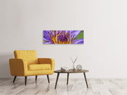 3 darab Vászonképek Panoramic XXL water lily in purple