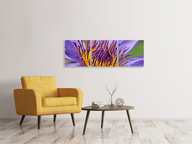 3 darab Vászonképek Panoramic XXL water lily in purple