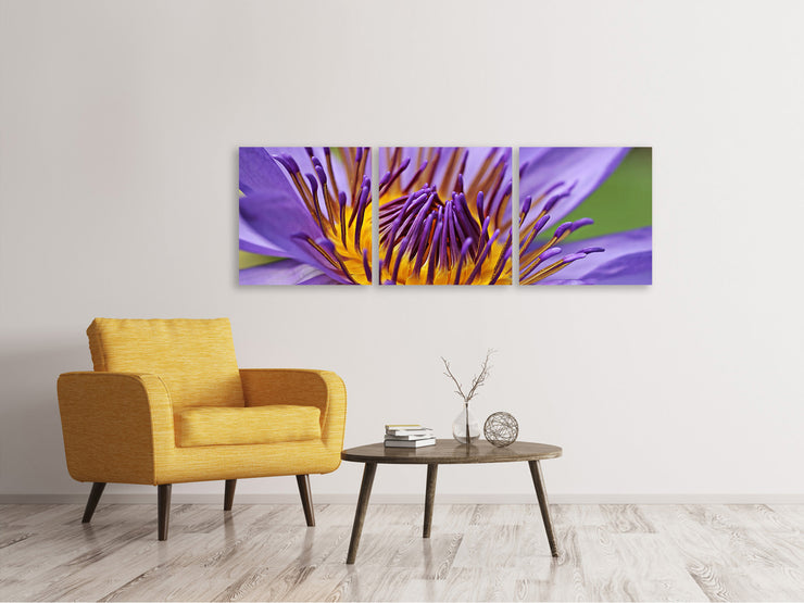 3 darab Vászonképek Panoramic XXL water lily in purple