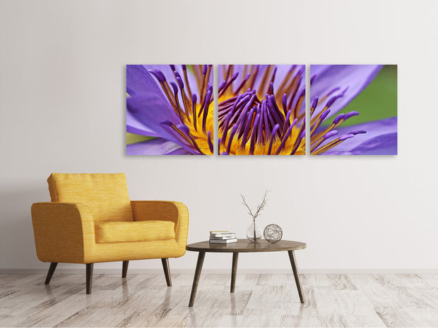 3 darab Vászonképek Panoramic XXL water lily in purple