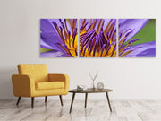 3 darab Vászonképek Panoramic XXL water lily in purple