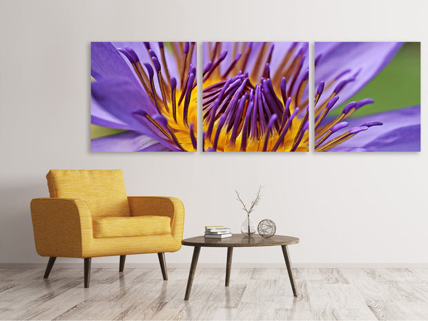 3 darab Vászonképek Panoramic XXL water lily in purple