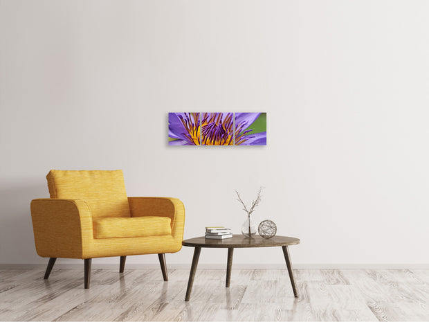 3 darab Vászonképek Panoramic XXL water lily in purple