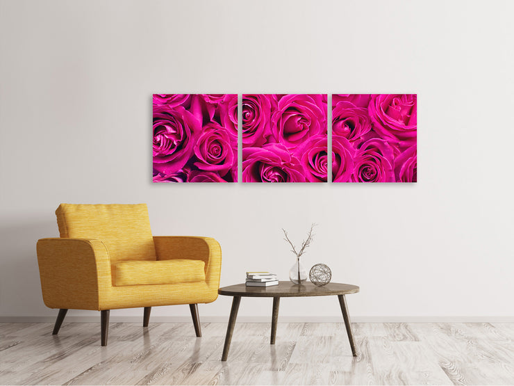 3 darab Vászonképek Panoramic Rose petals in pink