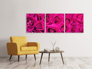 3 darab Vászonképek Panoramic Rose petals in pink