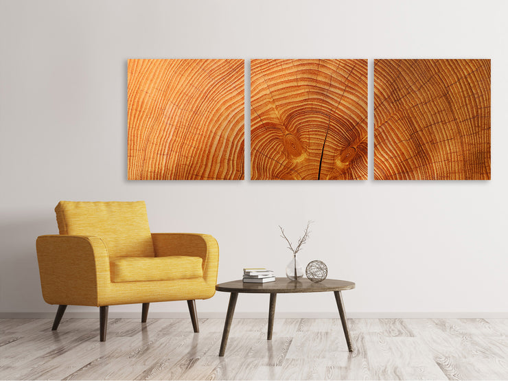 3 darab Vászonképek Panoramic tree rings