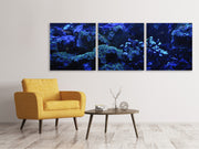 3 darab Vászonképek Panoramic Coral reef in blue