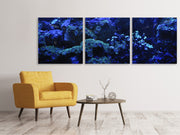 3 darab Vászonképek Panoramic Coral reef in blue