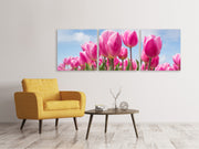 3 darab Vászonképek Panoramic Tulip field in pink