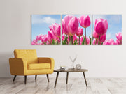 3 darab Vászonképek Panoramic Tulip field in pink