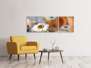 3 darab Vászonképek Panoramic Daisies XL