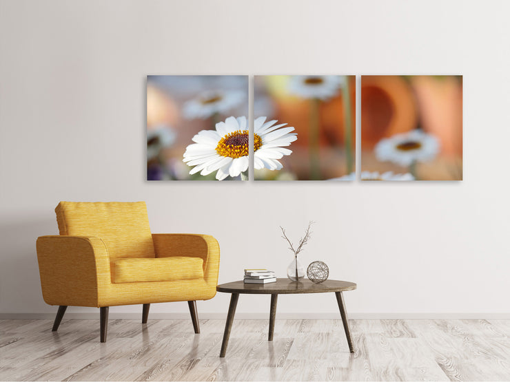 3 darab Vászonképek Panoramic Daisies XL