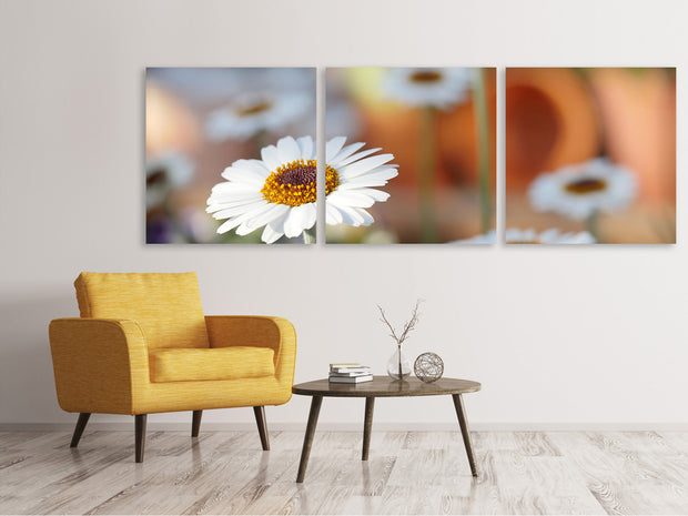 3 darab Vászonképek Panoramic Daisies XL