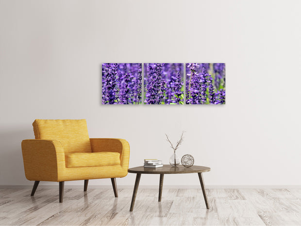 3 darab Vászonképek Panoramic XL lavender