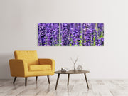 3 darab Vászonképek Panoramic XL lavender