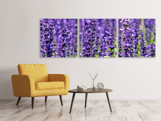 3 darab Vászonképek Panoramic XL lavender