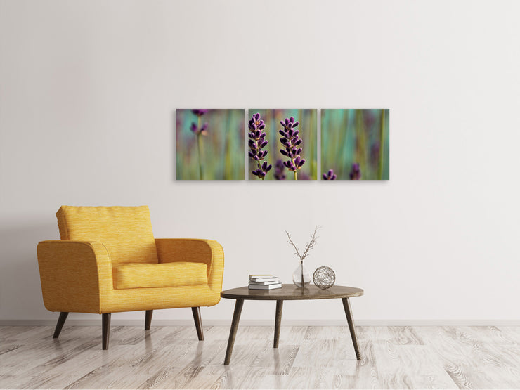 3 darab Vászonképek Panoramic Lavender in XL