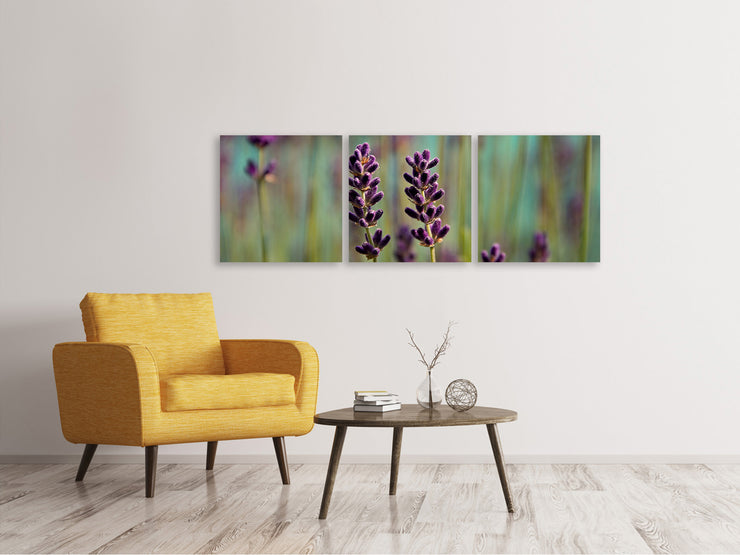 3 darab Vászonképek Panoramic Lavender in XL