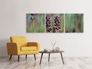 3 darab Vászonképek Panoramic Lavender in XL