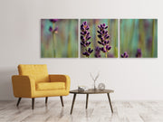 3 darab Vászonképek Panoramic Lavender in XL