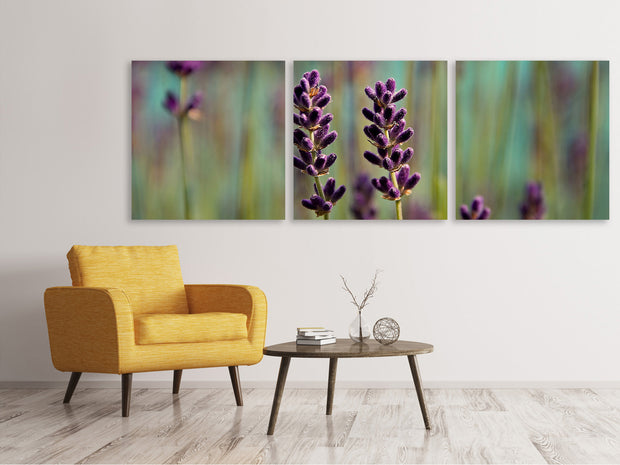 3 darab Vászonképek Panoramic Lavender in XL