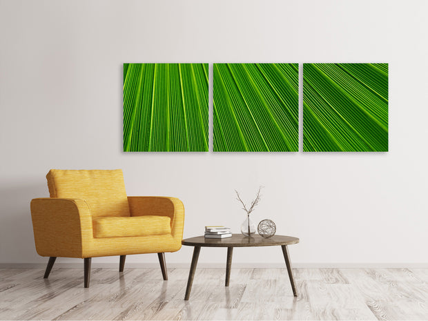3 darab Vászonképek Panoramic Palm stripe 1