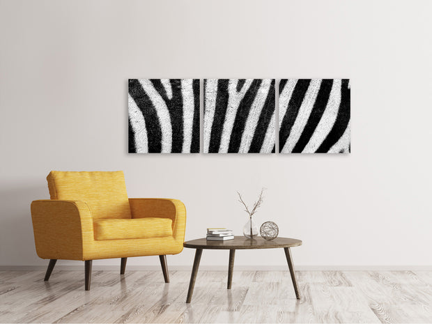 3 darab Vászonképek Panoramic Strip of the zebra